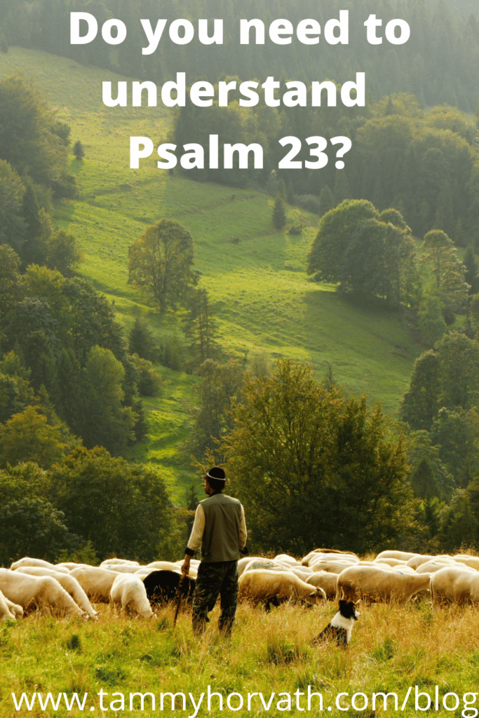 Psalm 23 shepherd leading sheep