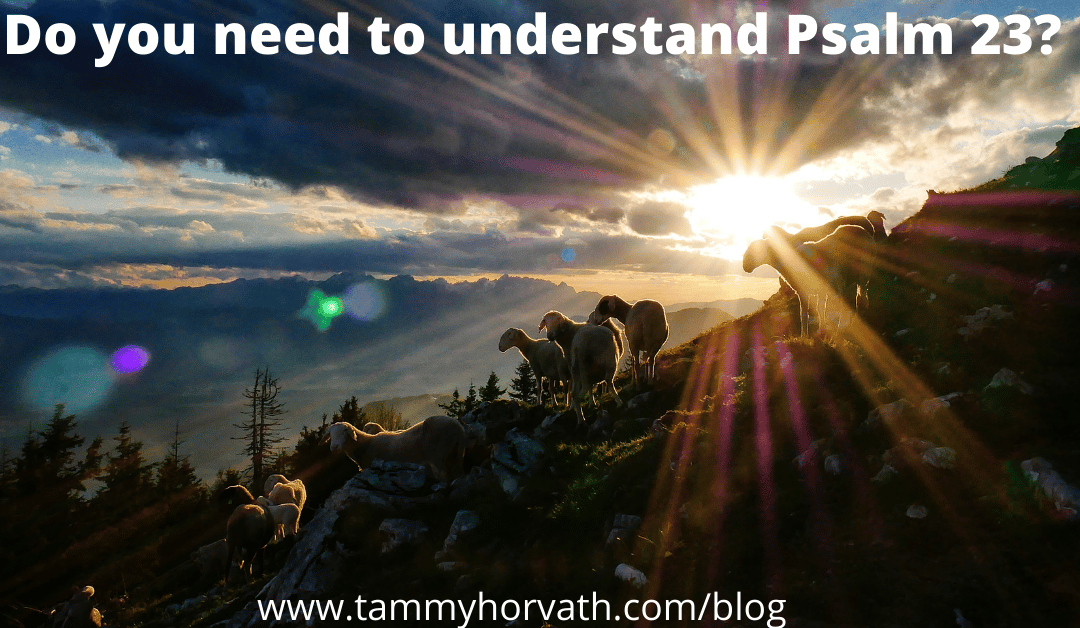 Do You Need To Understand Psalm 23?