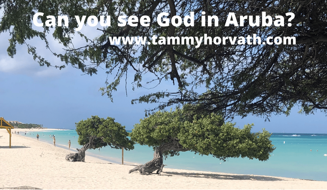 Beach in Aruba - Seeing God
