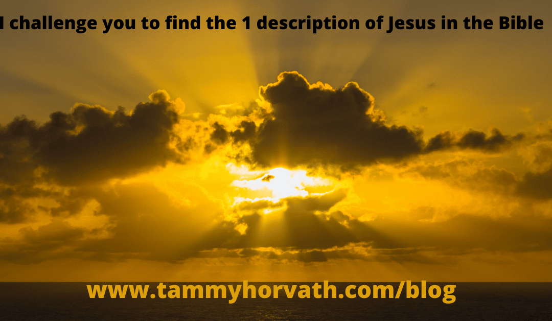 Clouds - I challenge you to find 1 description of Jesus in the Bible