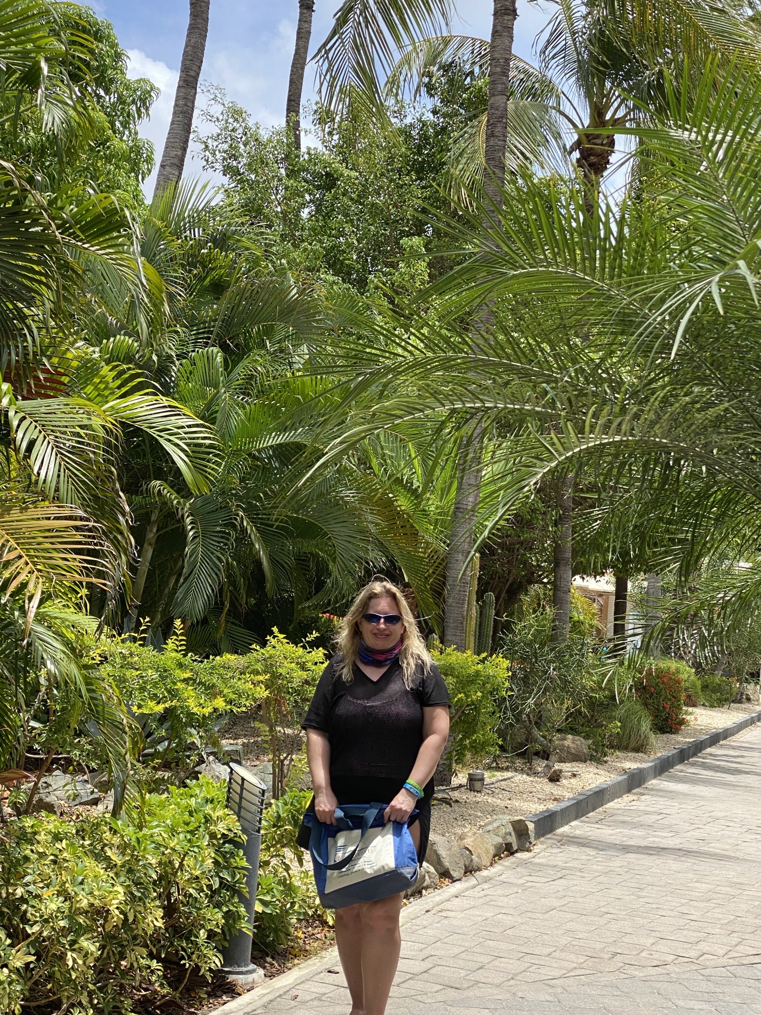 It's very lush and tropical in Aruba It's very lush and tropical in Aruba