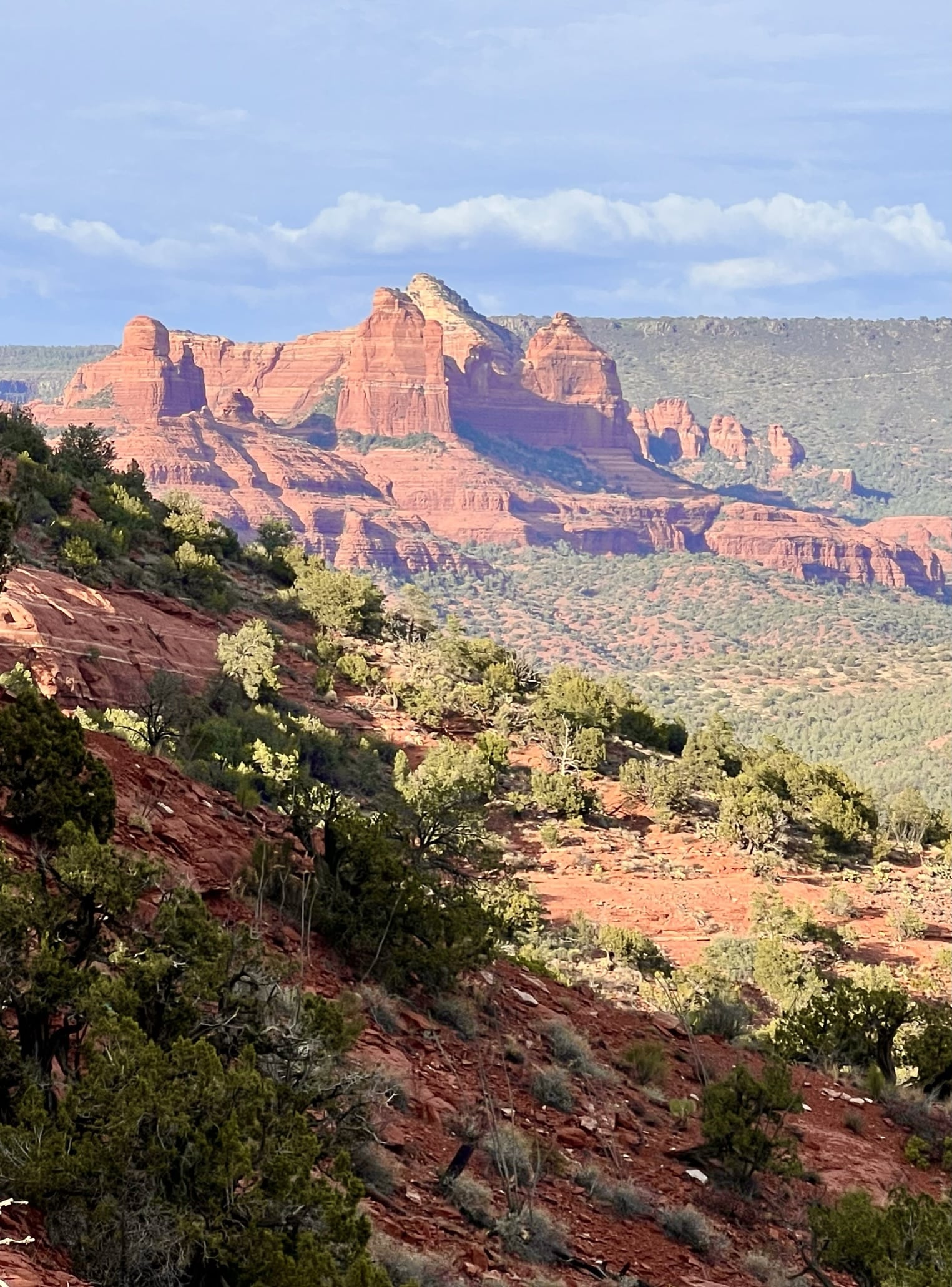 The red rocks lit up in Sedona, Arizona The red rocks lit up in Sedona, Arizona