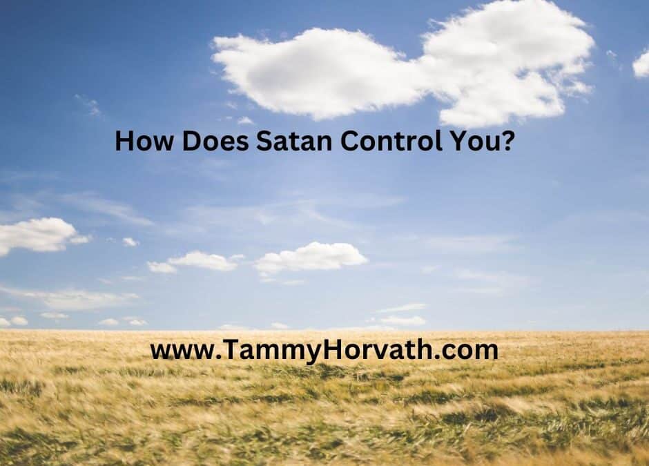 Picture of dead grass for Tammy Horvath’s blog post: How Does Satan Control You?