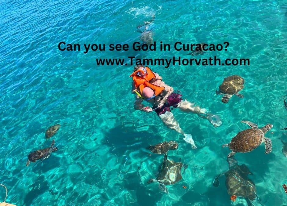 Sea turtles in the ocean for Tammy Horvath’s blog post: Can you see God in Curacao?